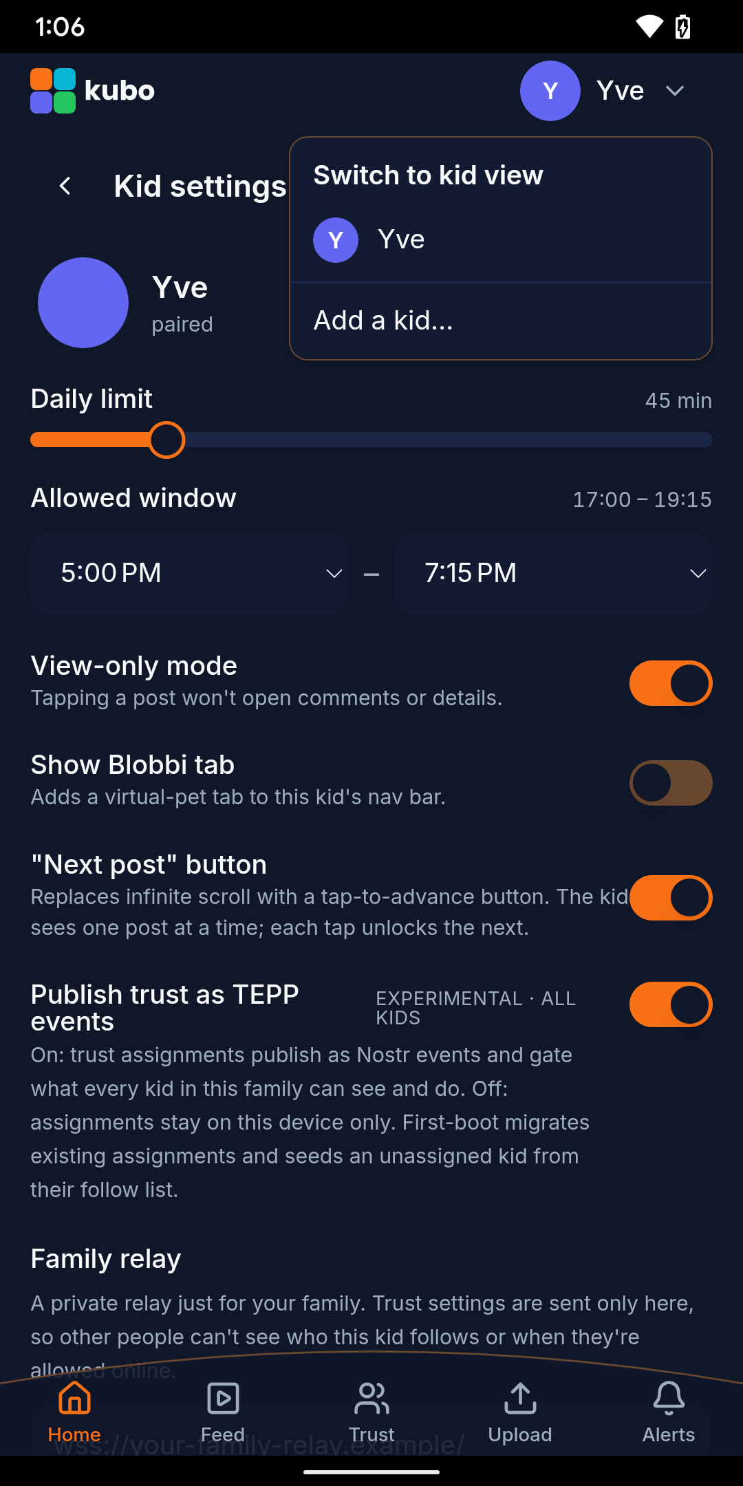 Video View Screen